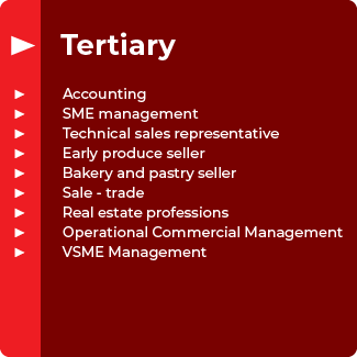 Tertiary: Accounting, SME management, Technical sales representative, Early produce seller, Bakery and pastry seller, Sale - trade, Real estate professions, Operational Commercial, Management, VSME Management