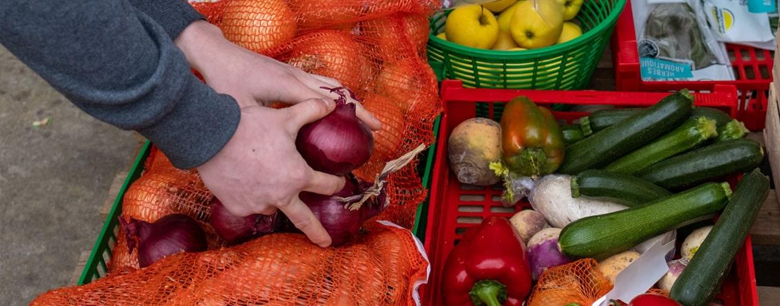 Mains saisissant des oignons dans des cagettes de fruits et légumes