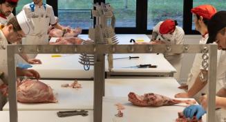 Apprentis boucher en laboratoire en train de travailler avec leur professeur sur le désossage 