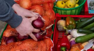 Mains saisissant des oignons dans des cagettes de fruits et légumes